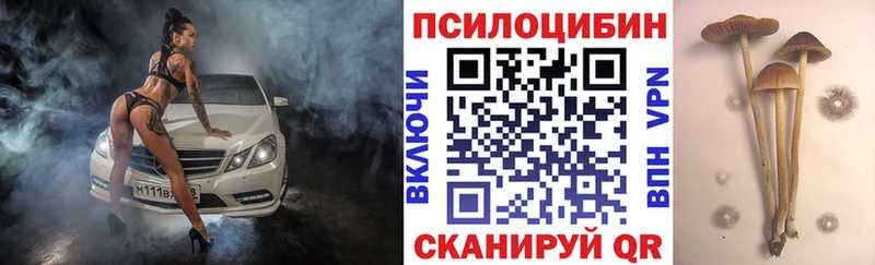 Галлюциногенные грибы мицелий Новотитаровская